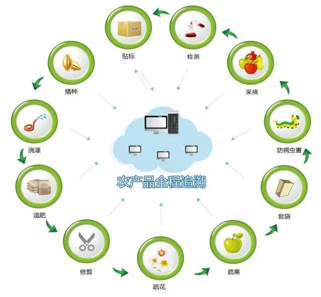 真农观察 关于农产品溯源系统，你必须要了解的一些事情